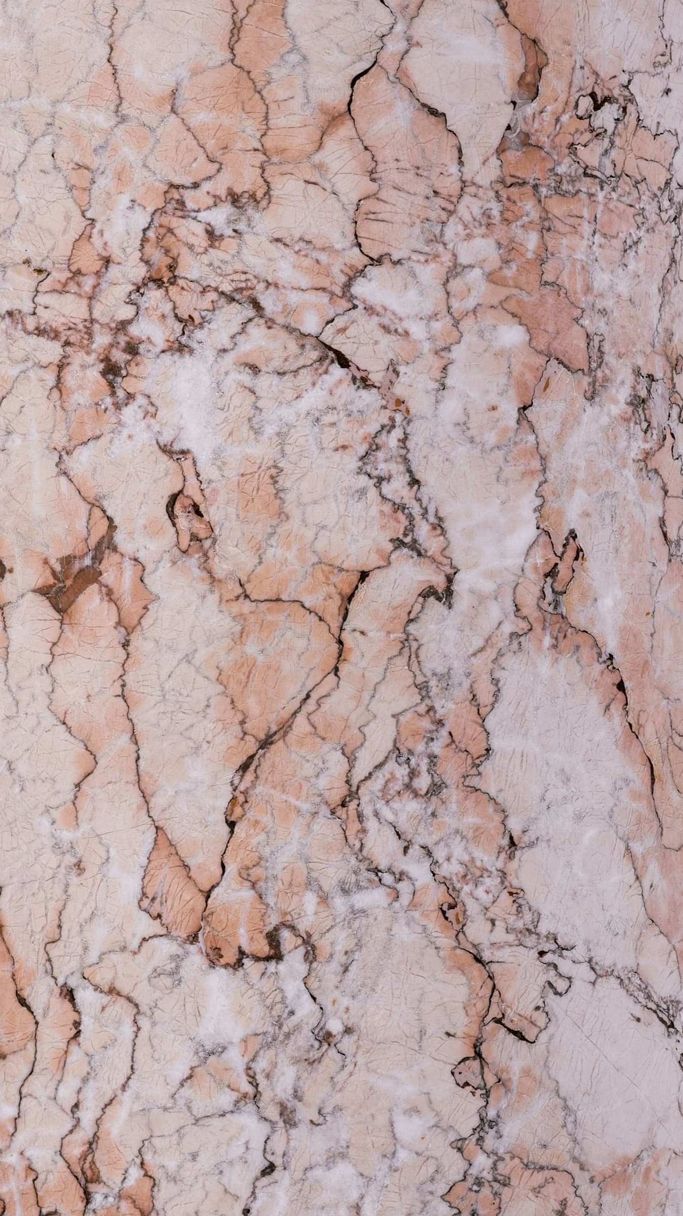 Blush pink marble slab with dark grey veining