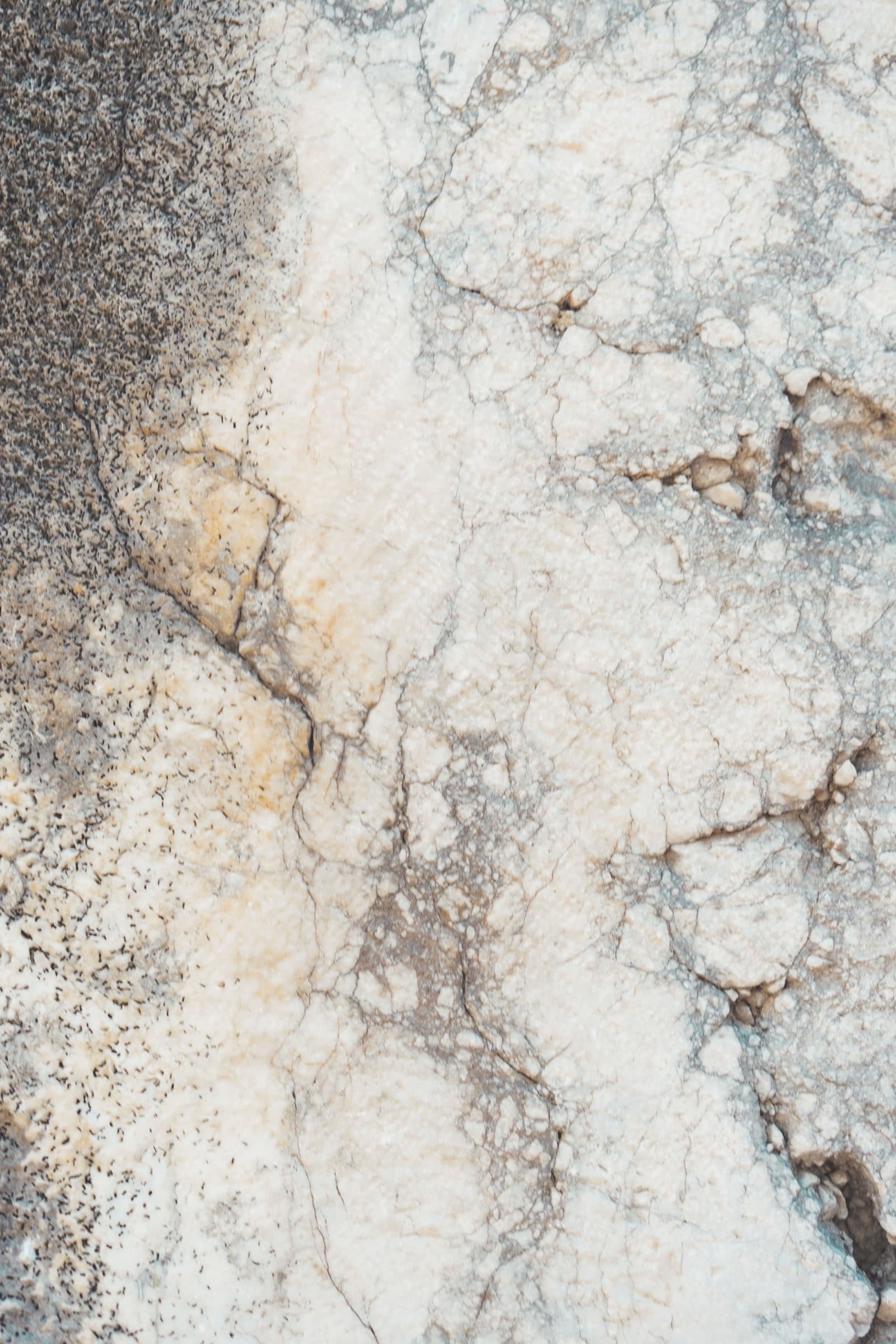 Close detail of beige and cream natural stone texture